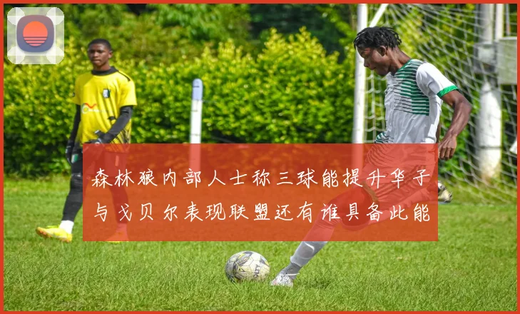 森林狼内部人士称三球能提升华子与戈贝尔表现联盟还有谁具备此能力