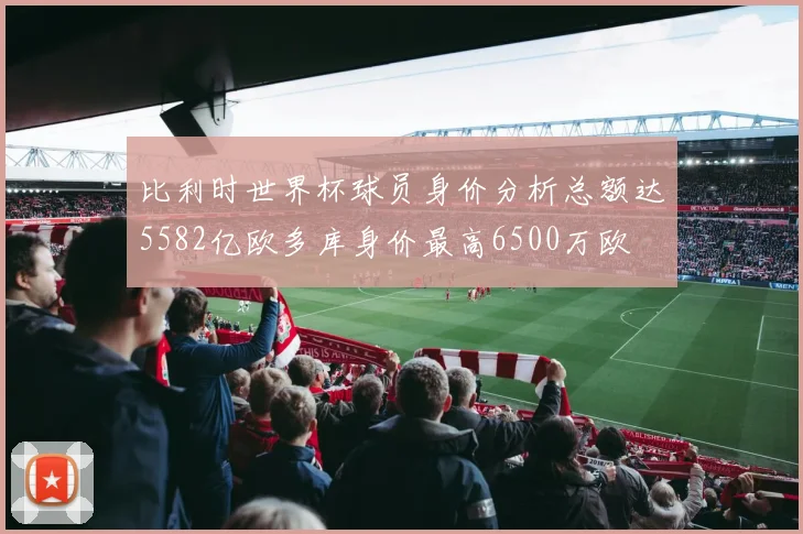 比利时世界杯球员身价分析总额达5582亿欧多库身价最高6500万欧